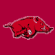 Arkansas Razorbacks