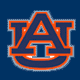 Auburn Tigers