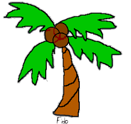 Palm Tree