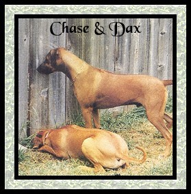 Chase and Dax