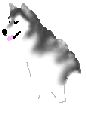 Montana