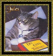 Jules