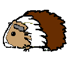 Mocha, my cyber guinea pig