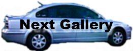 Next Gallery