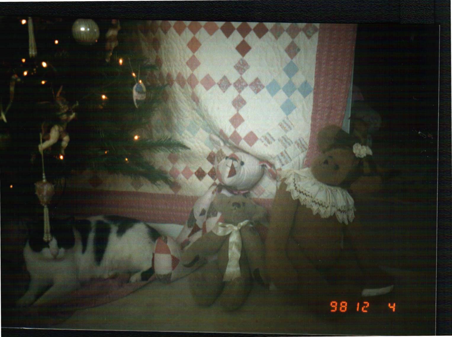 charliecat