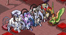 Calling All Phoenixes!
