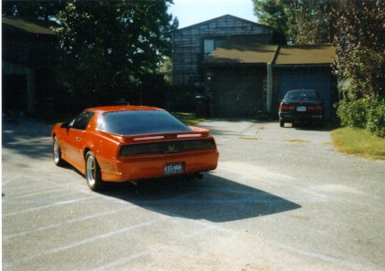 images/Rearbrd.jpg - 36.7 K