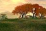 Landscape02a.jpg (91.0 kb)