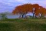 Landscape02b.jpg (90.3 kb)