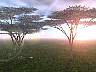 Landscape3.jpg (94.2 kb)