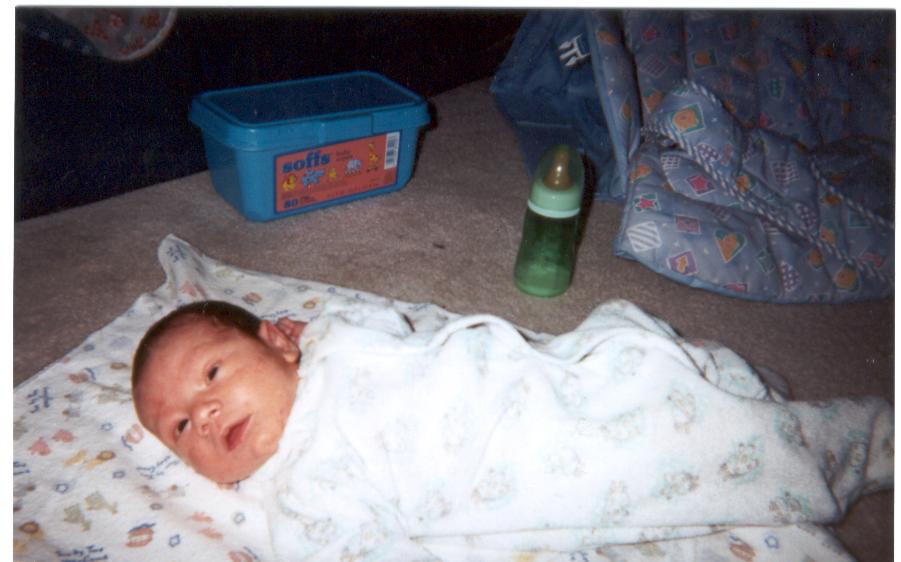 MAXIMUS--2WEEKS OLD