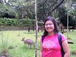 With a kangaroo just a few feet away