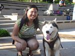 Posing with a Siberian Husky after a Sentosa animal show