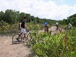 Cycling in the wilderness of Ubin