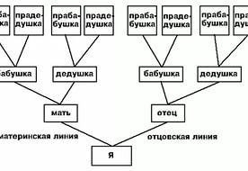 Ученье свет 3 яна алексеева