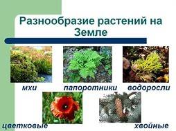 Девушек моющих монитор компьютера в заставке