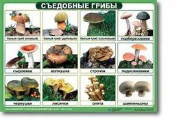 Расчет лимита по кассе форма бланк