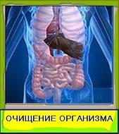 В в формате pdf и epub для электронных книг В в формате pdf и epub для электронных книг