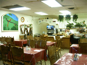 The South Wall of Ma Casita, Holtville.