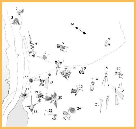 showing just a few of the geoglyphs and biomorphs