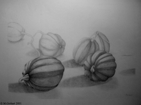Acorn Squash
