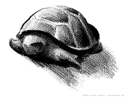 Turtle Sketch