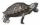 turtlelogo2.gif