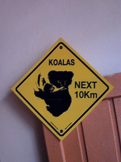 koalaschild!