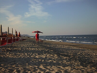 baywatch!