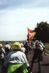 HR015.jpg