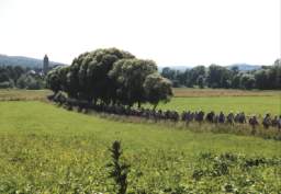 HR017.jpg
