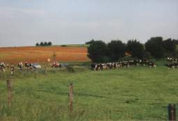 HR021.jpg