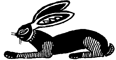 rabbit