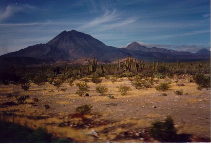 Desert Scenery