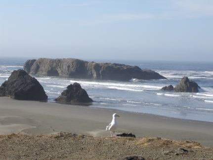Beach South of Gold Beach, Oregon Sept. 2000