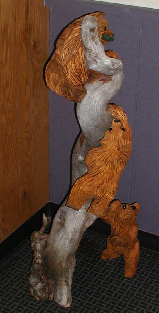 Little Bears Climbing Trees