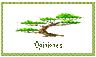 Cuadro de texto:  Opiniones