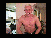 Screen shot samples and demonstration