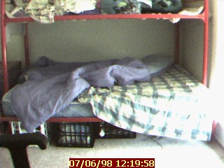 Indy is sleeping under the bed covers