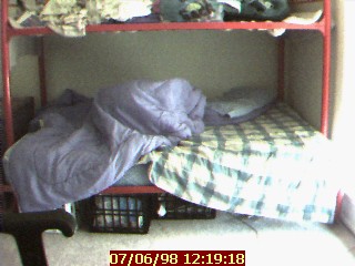 Indy settles down under the bed covers