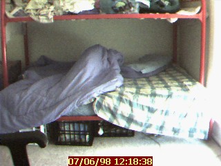 Indy is under the bed covers!