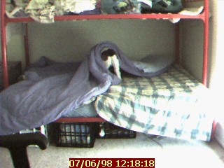 Indy crawls under the bed covers