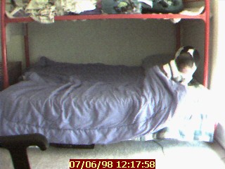 Indy lifts the bed covers