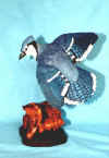 JimC8.JPG (32673 bytes)
