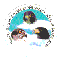 Logo A.I.F.M
