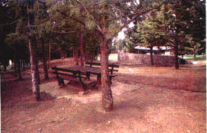 Area attrezzata nel bosco Scorace
