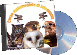 Corso di falconeria multimediale
