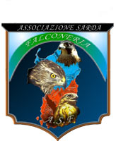 falconeriasarda