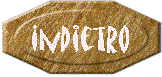 Pagina Precedente