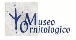 museo